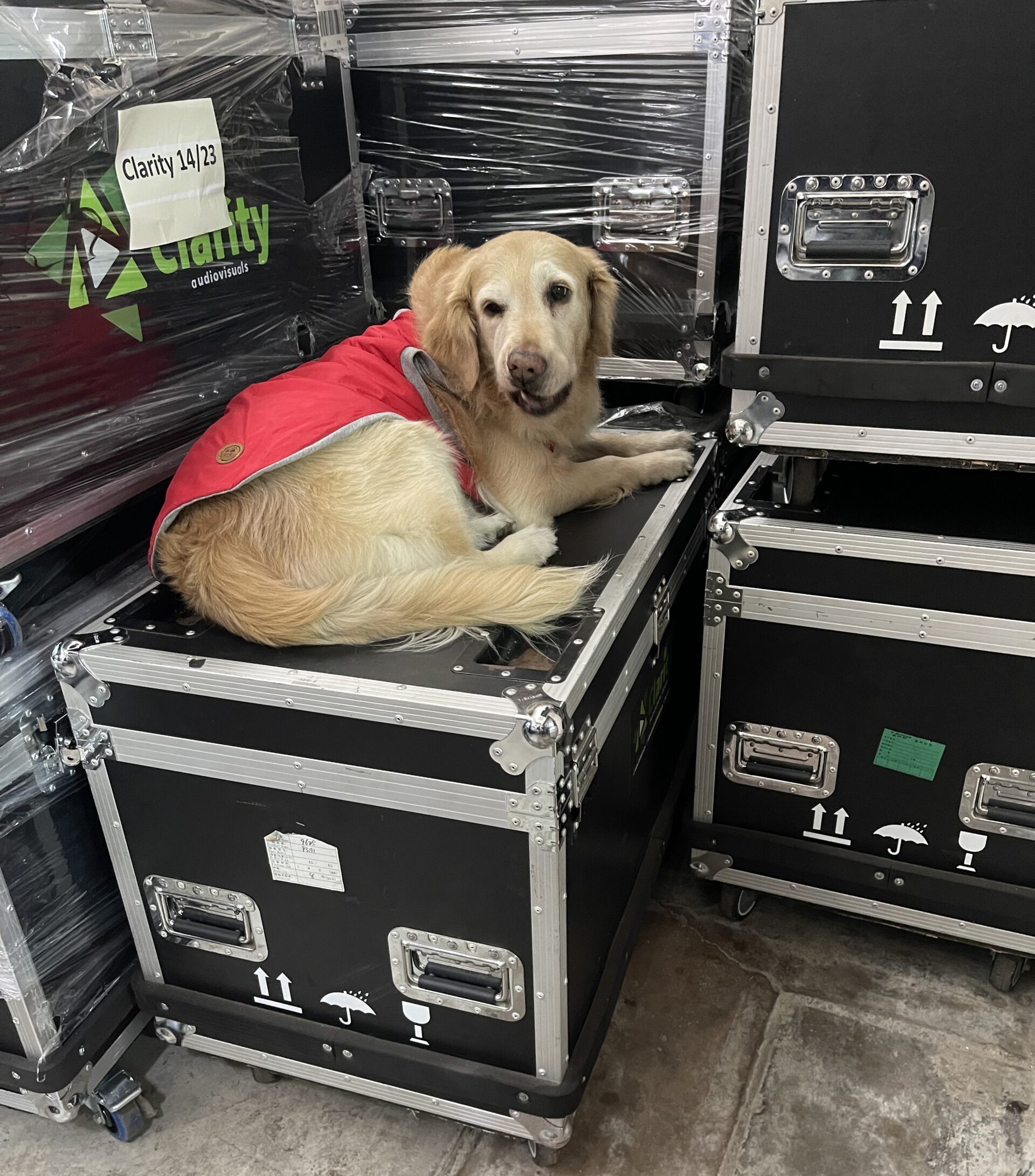 Equipo de Clarity Audiovisuales